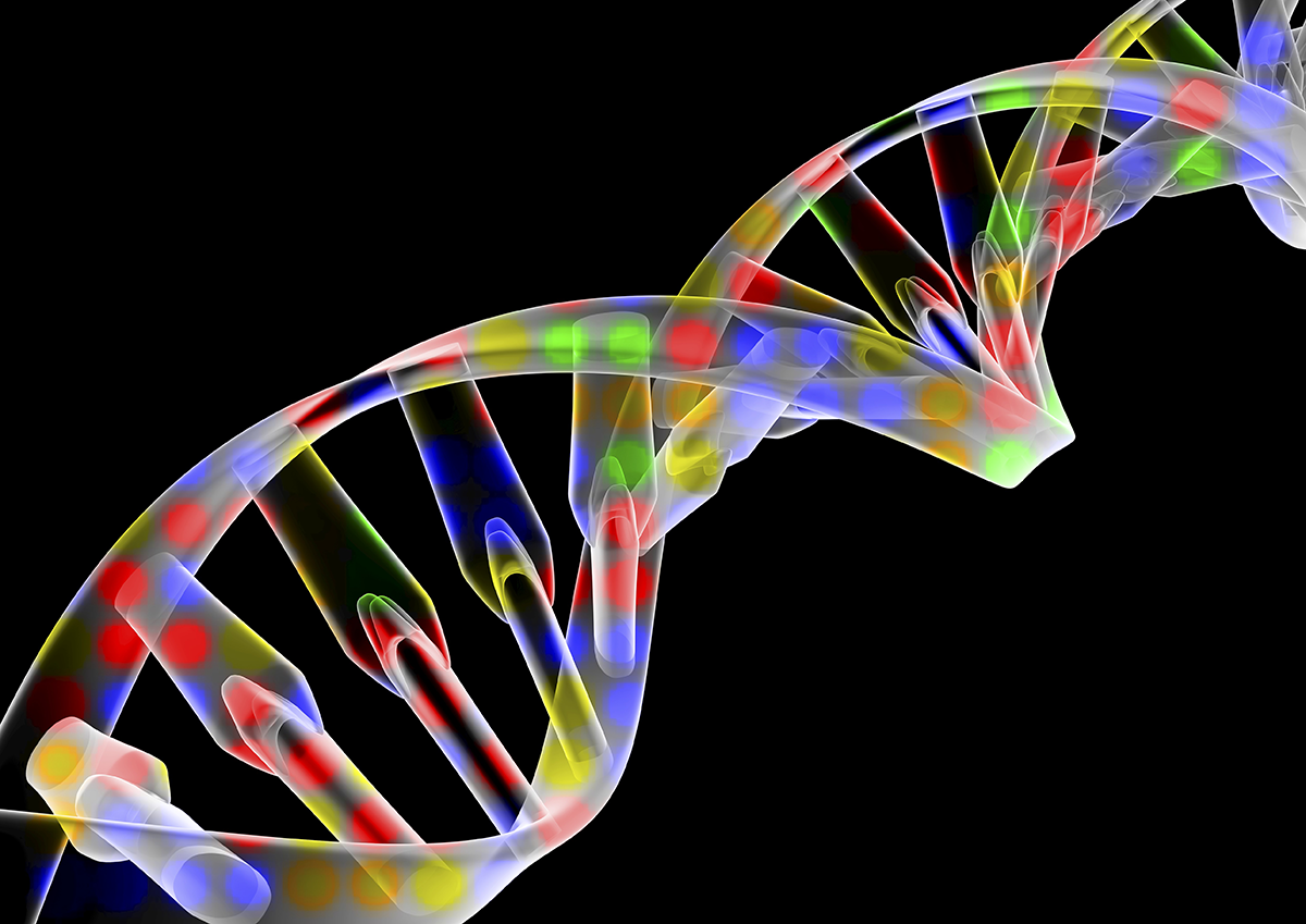 Most Common Genetic Disorders In The Us