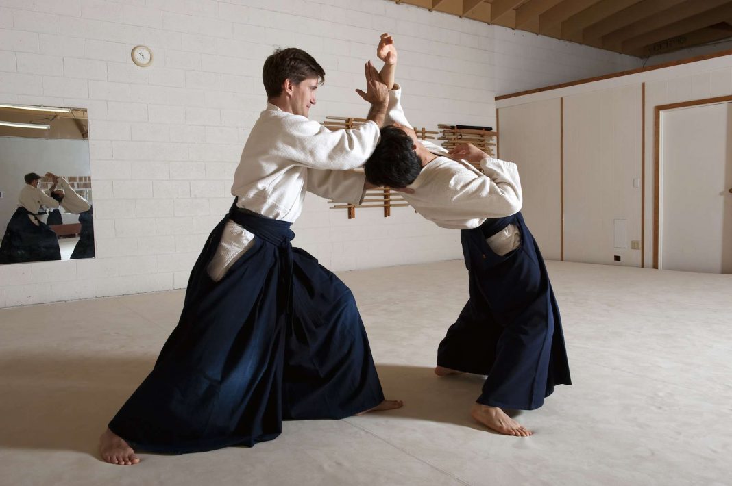 kinds of martial arts