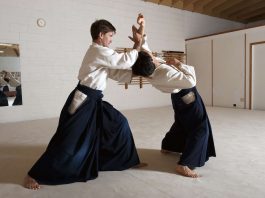 kinds of martial arts