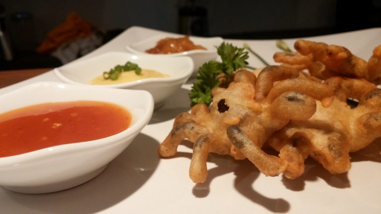 Top 10 Worst Fried Food in the World