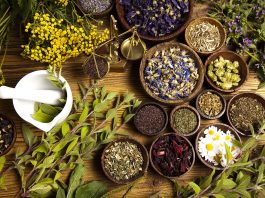Top 10 Herbs You Need to Replenish Every Time