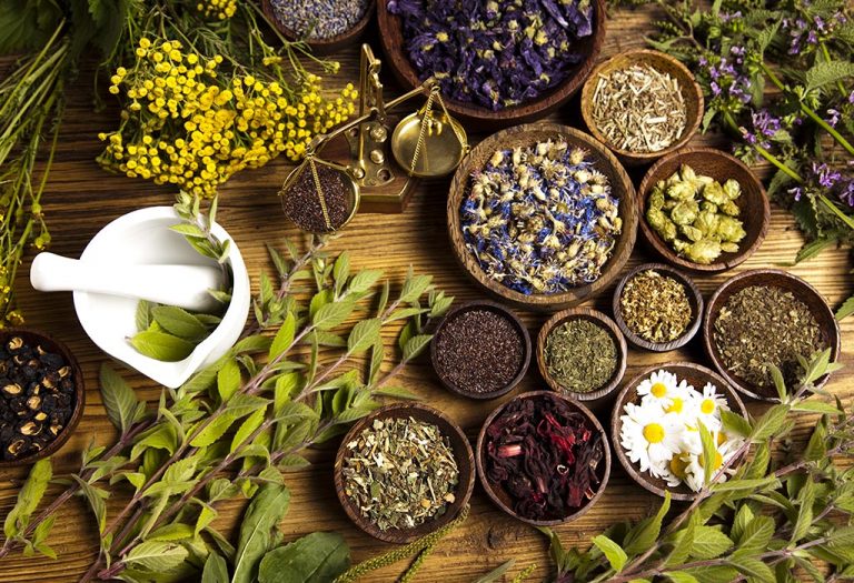 Top 10 Herbs You Need to Replenish Every Time