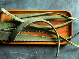 Top 10 Uses Of Aloe Vera
