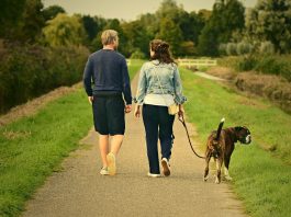 Top 10 Benefits of Walking Every Day