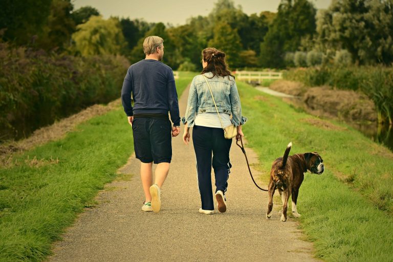 Top 10 Benefits of Walking Every Day